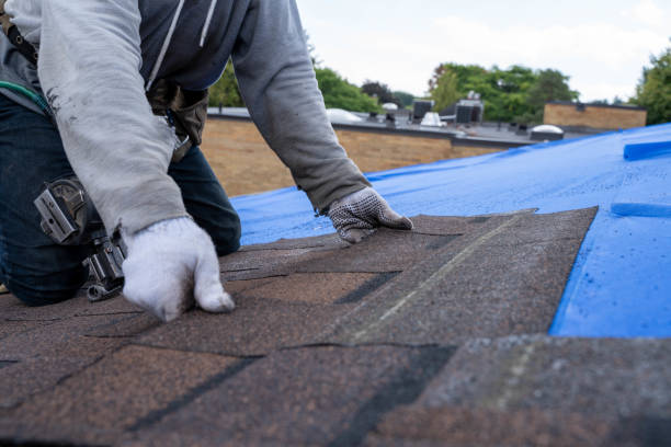 Best Storm Damage Roof Repair  in Erwinville, LA